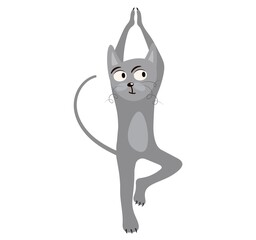Cute gray cat is doing yoga. Funny gray kitten in tree pose isolated vector illustration. Cartoon flat style.