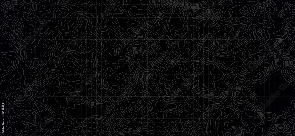 Poster the stylized height of the topographic map contour in lines and contours. geographic mountain topogr