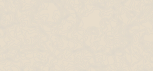 Abstract topographic contours map background. Vector geographic contour map. topography map background. White wave paper curved reliefs abstract background.	