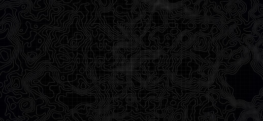 The stylized height of the topographic map contour in lines and contours. Geographic mountain topography vector illustration.