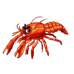 crayfish on white