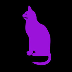 Fototapeta na wymiar Purple cat on black