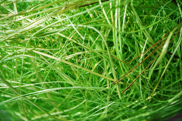 Macro shot of tangled threads close up