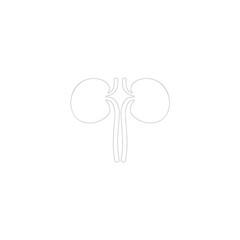 kidney vector illustration element logo