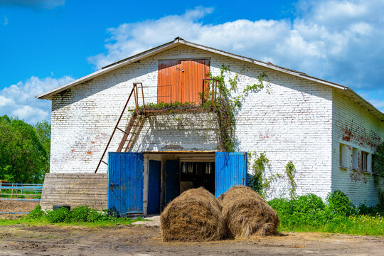 At the farm building lie rolls and bales of hay, straw in the countryside. Harvest and food for pets in agriculture.