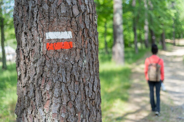 Fototapeta premium Tree sign with trekking sign with young lady walking in the background