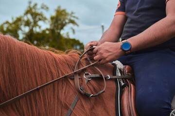 Close up of horse reins with a rider on it