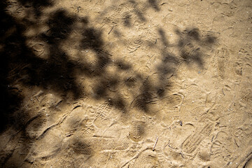 texture of sandy beach