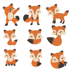 Cute foxes cartoon in different poses collection
