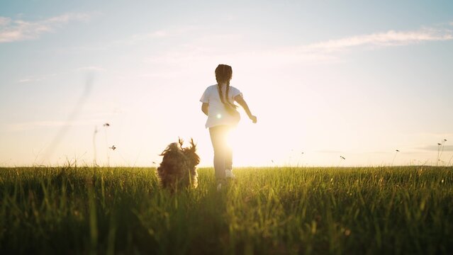 little girl child and dog a run in the park. happy family kid dream holiday concept. girl child silhouette view from the back runs with a pet dog on the grass in the summer in the park at sunset