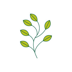 Hand drawn flower template vector