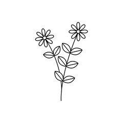 Hand drawn flower template vector