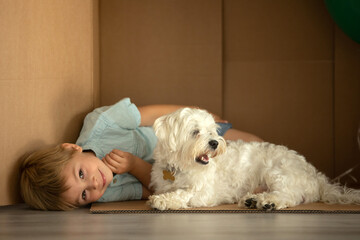 Cute toddler child and maltese pet dog, hiding in cardboard box, playing