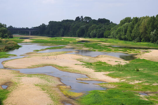 &Eacute;chassiers en bord de Loire