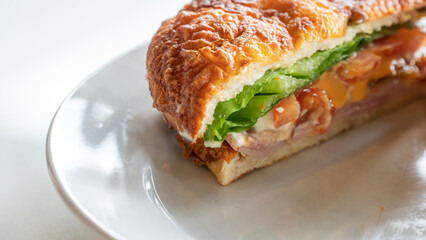 sandwich with salmon and cheese