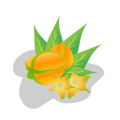 Star fruit illustration. Star fruit icon, fruit.