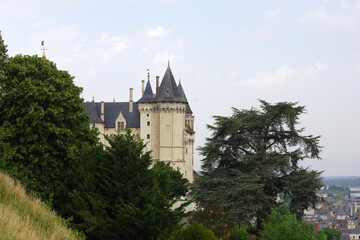 Fototapeta premium Château sur la Loire