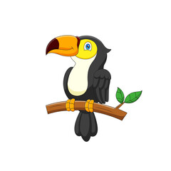 Cartoon toucan standing on a branch