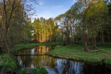 Fototapeta na wymiar Bright May greens. Picturesque landscape with a small river. Evening pacifying landscape with a river and trees.