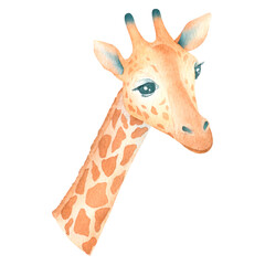 Watercolor cute giraffe isolated on white background african animal hand drawn illustration