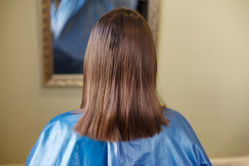 brunette woman with shiny brown straight hair back view in salon