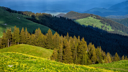 Rarau Mountains, Eastern Carpathians, Romania.