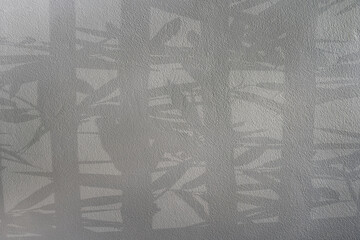 Naklejka premium Shadow of potted plants on concrete wall 