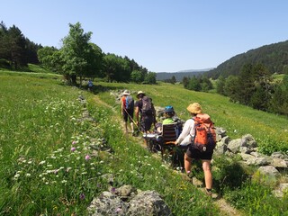 Randonnée en montagne solidaire avec handicapé en joelette fauteuil roulant de randonnée sur les...