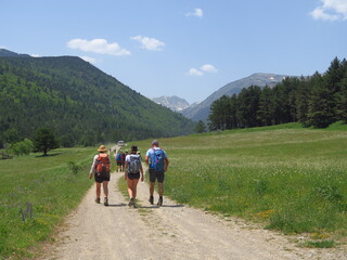 Randonnée en montagne solidaire avec handicapé en joelette fauteuil roulant de randonnée sur les sentiers avec des gens et personne en handicap