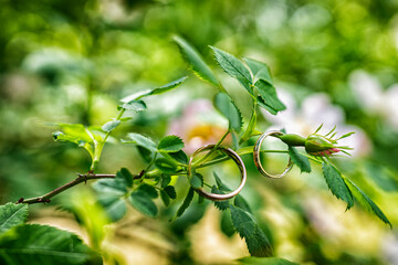 Wedding ring in nature