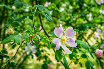 Wedding ring in nature