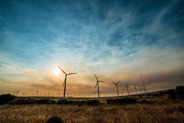 Windmills or wind turbines in agricultural fields of Cadiz, Spain © Roberto