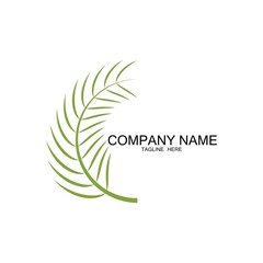 Palm tree leaf illustration logo template vector design