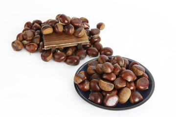 chestnut