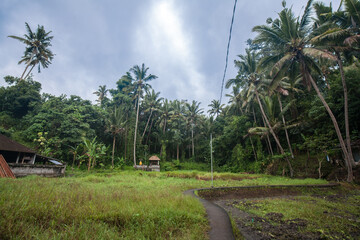 Obraz premium Garden in Pura Goa Gajah, Bali, Indonesia
