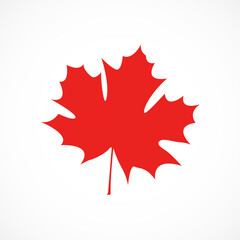 Red maple leaves patterns on white background. autumn maple leaves concept as a seasonal of summer theme concept design
