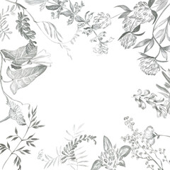 Square frame of simple wildflowers drawing in pencil