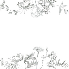 Frame of simple wildflowers drawn in pencil