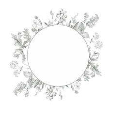 Round frame of wild flowers drawn in pencil