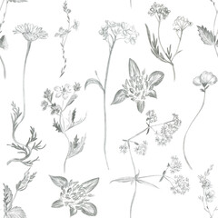 Seamless pattern with pencil sketches of wildflowers
