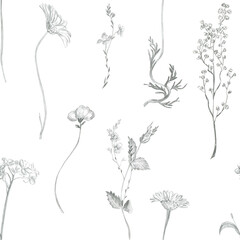 Seamless pattern with pencil sketches of wildflowers