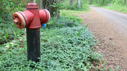 Red hydrant in the forest. Steel hydrant, stationary fire extinguisher junction activated when...