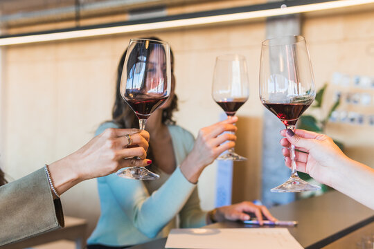 Anonymous cropped women proposing toast during wine tasting session