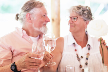 Elderly couple clinking glasses with water during wedding celebration
