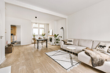 Cozy living room with cozy couch and shelf in modern apartment