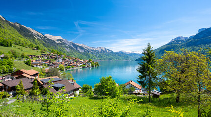 amazing view on Lake Brienz in Switzerland - obrazy, fototapety, plakaty