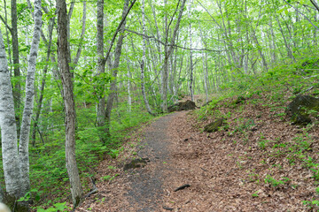 乗鞍高原　一の瀬園地ハイキングコース