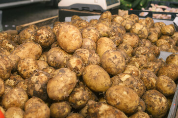 Vegetables from the bazaar, fresh without GMO