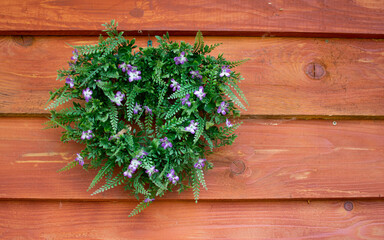 rustic garland on the wall of the house, home decoration