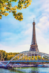 Fototapeta na wymiar The Eiffel Tower in Paris city